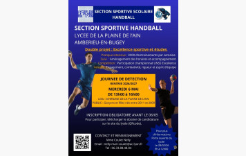 Section sportive handball